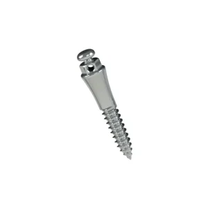 TADS Extrarradicular Orthodontic Steel Mini Screw