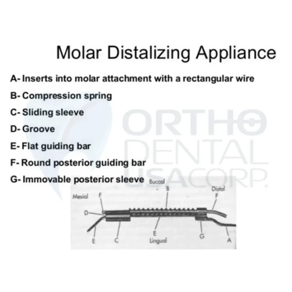 Dental Orthodontic Appliance Spring Molar Pusher Distalizer Expansion ...